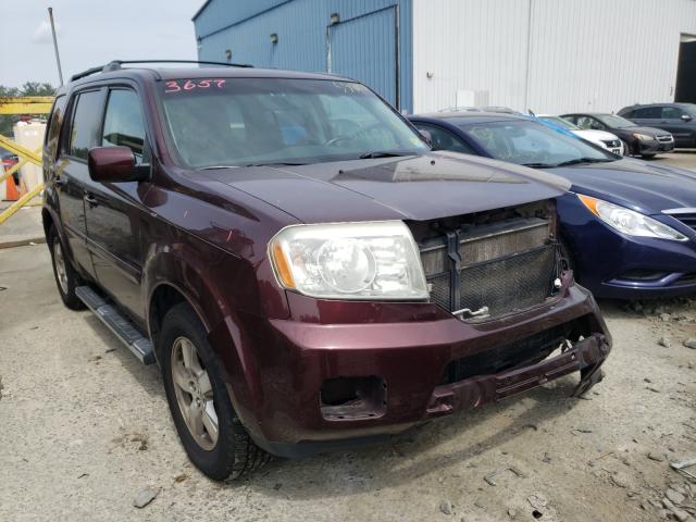 HONDA PILOT EXL 2011 5fnyf4h60bb057479