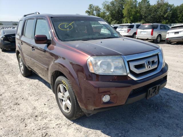 HONDA PILOT EXL 2010 5fnyf4h61ab024246