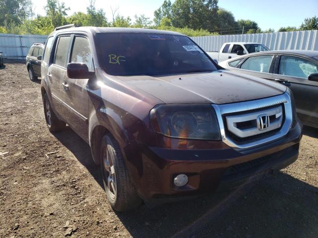 HONDA PILOT EXL 2010 5fnyf4h61ab034078