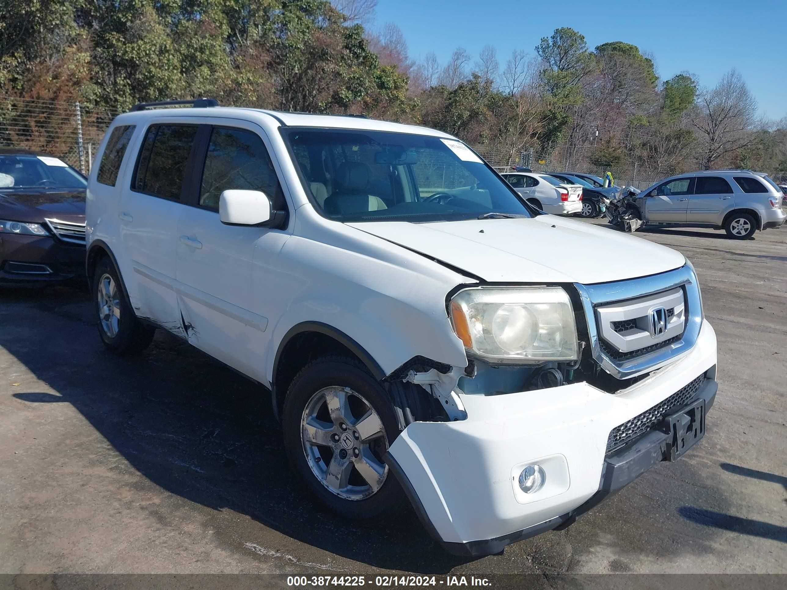 HONDA PILOT 2011 5fnyf4h61bb004791