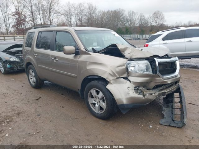 HONDA PILOT 2011 5fnyf4h61bb030940