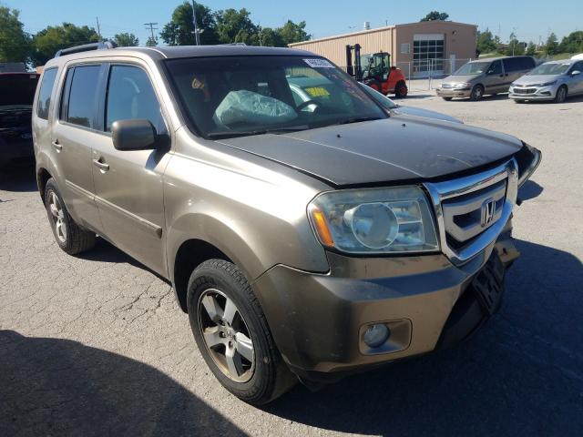 HONDA PILOT EXL 2010 5fnyf4h62ab001428