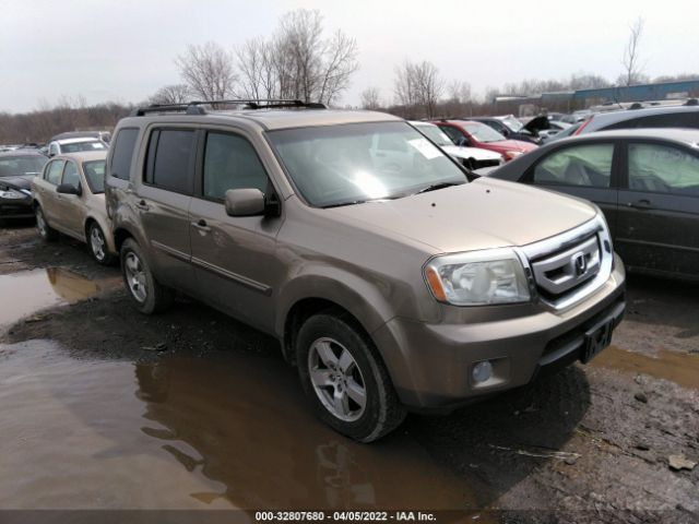 HONDA PILOT 2010 5fnyf4h62ab001431