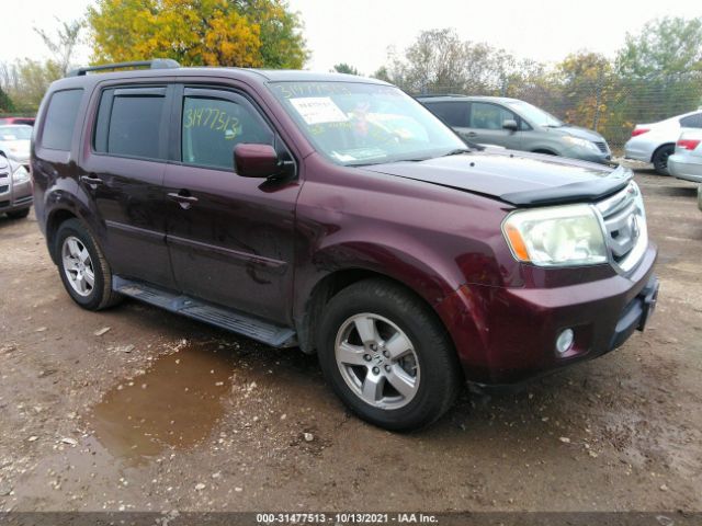 HONDA PILOT 2010 5fnyf4h62ab002255