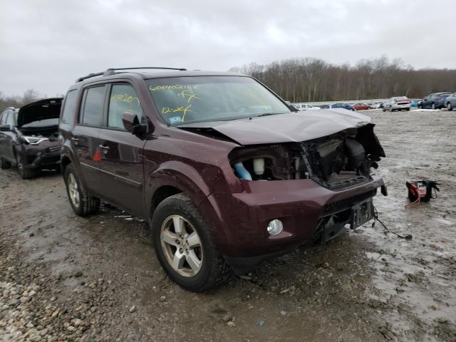 HONDA PILOT EXL 2010 5fnyf4h62ab020450