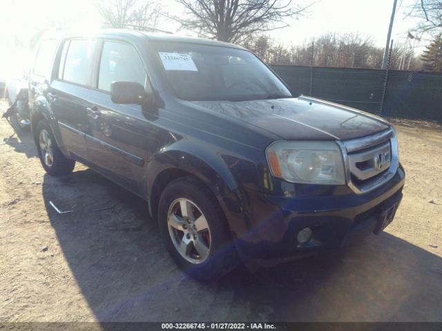 HONDA PILOT 2010 5fnyf4h62ab023381