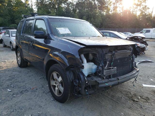 HONDA PILOT EXL 2010 5fnyf4h62ab023414