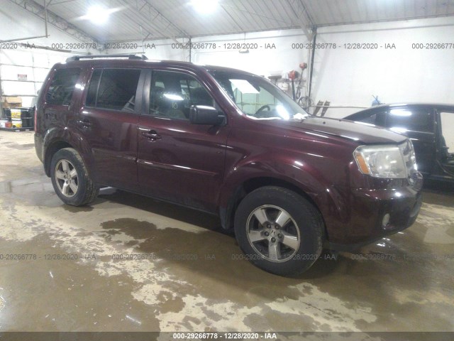 HONDA PILOT 2010 5fnyf4h62ab027429