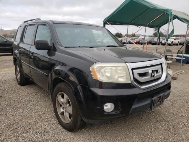 HONDA PILOT EXL 2010 5fnyf4h62ab031853