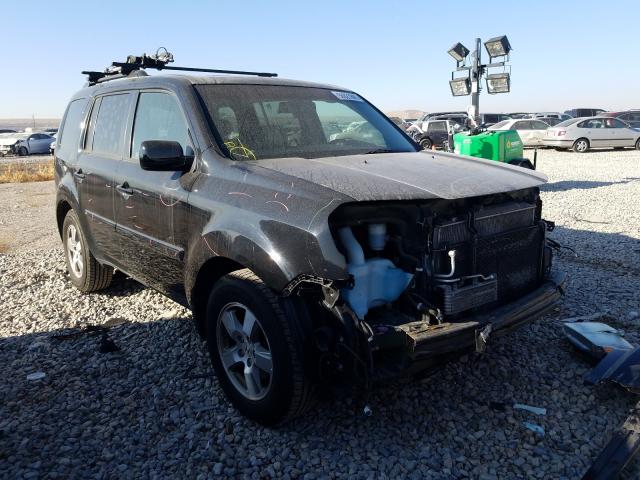 HONDA PILOT EXL 2010 5fnyf4h62ab033649