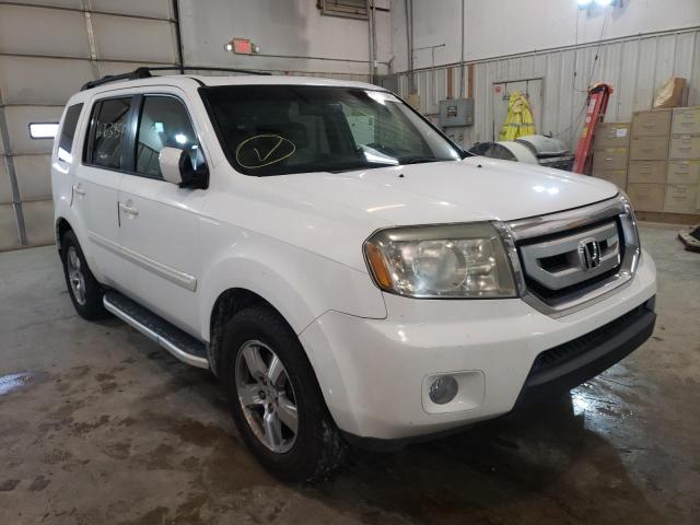 HONDA PILOT EXL 2010 5fnyf4h62ab035143