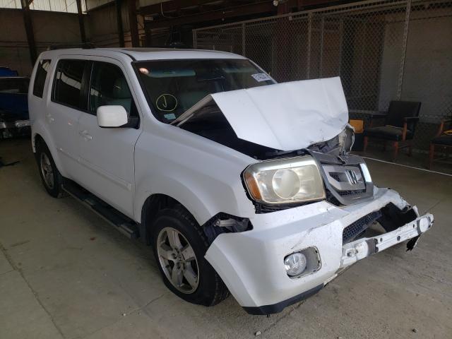 HONDA PILOT EXL 2011 5fnyf4h62bb023995