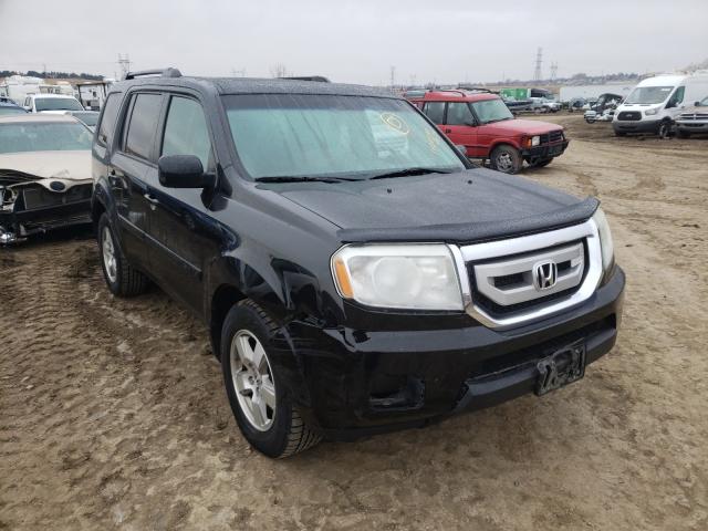 HONDA PILOT EXL 2011 5fnyf4h62bb036553