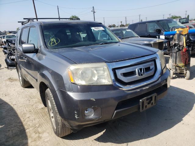 HONDA PILOT EXL 2011 5fnyf4h62bb046239