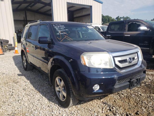 HONDA PILOT EXL 2011 5fnyf4h62bb077443