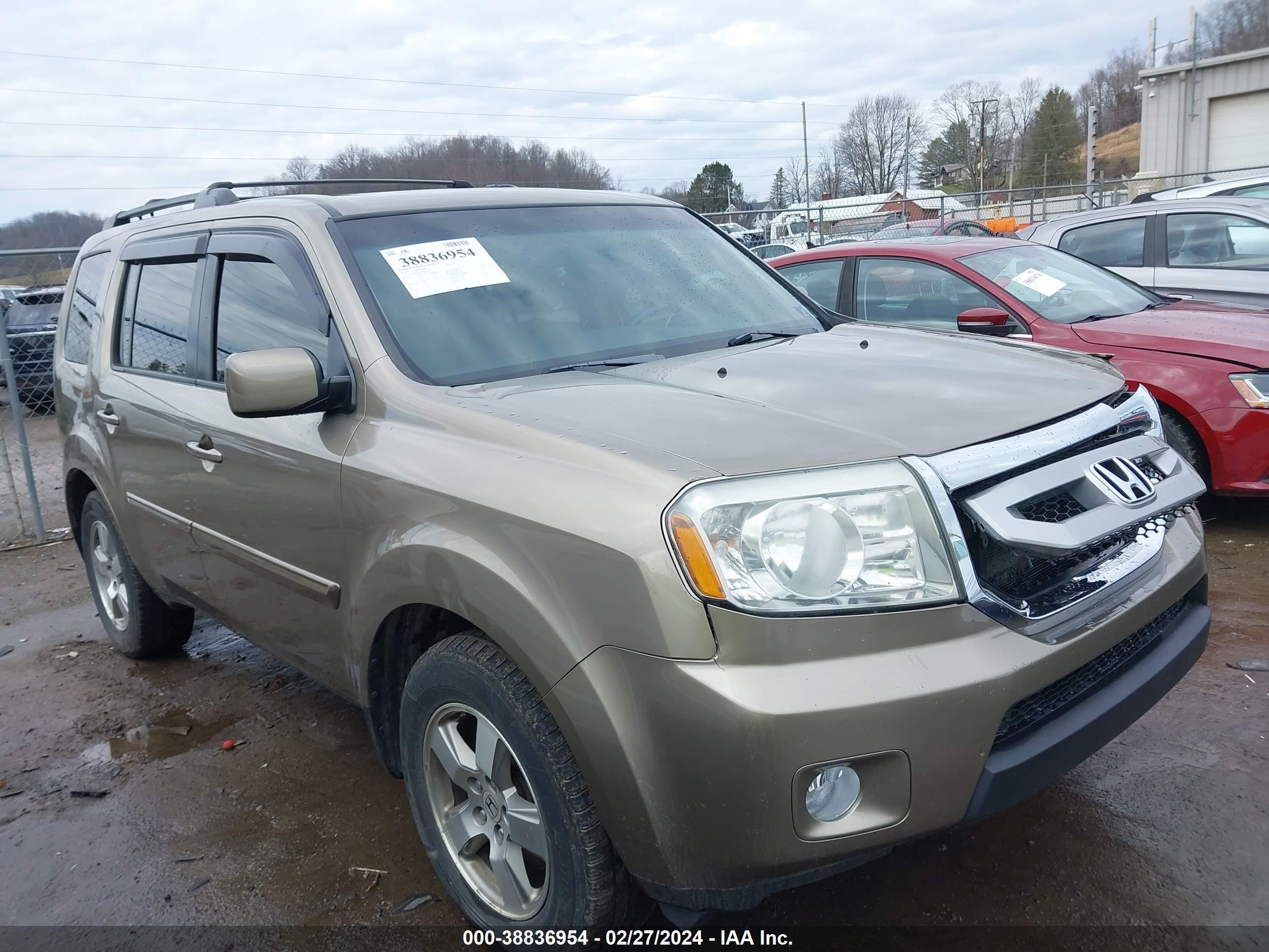 HONDA PILOT 2011 5fnyf4h62bb082576