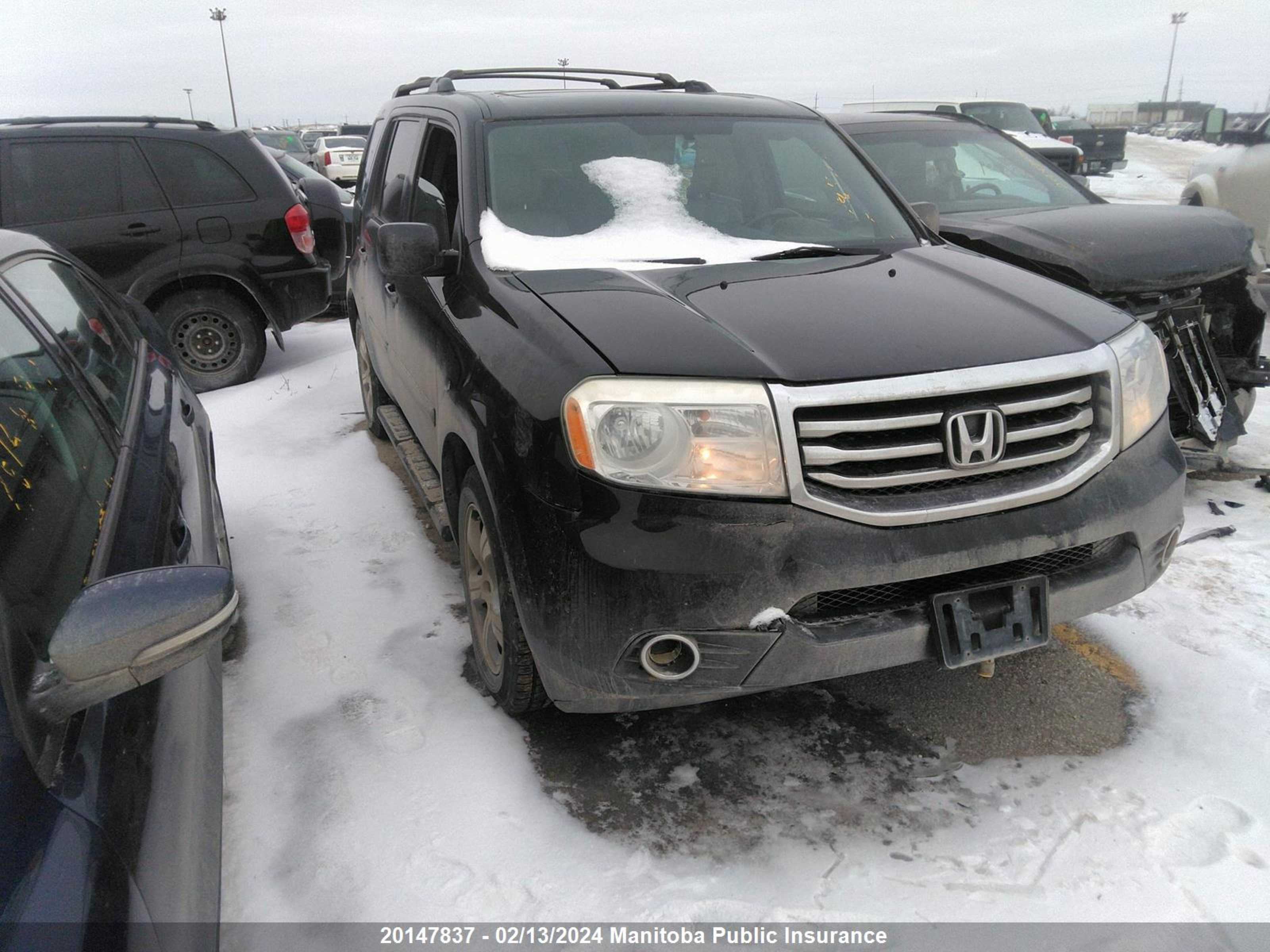 HONDA PILOT 2013 5fnyf4h62db506261