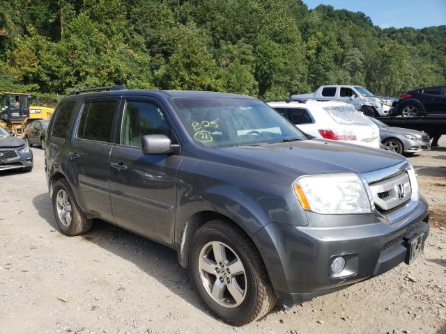 HONDA PILOT EXL 2010 5fnyf4h63ab024118