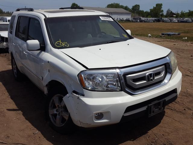 HONDA PILOT EXL 2010 5fnyf4h63ab024166