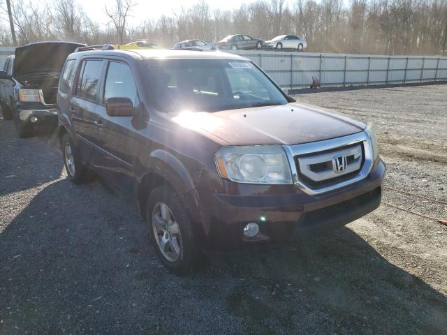 HONDA PILOT EXL 2010 5fnyf4h63ab029058