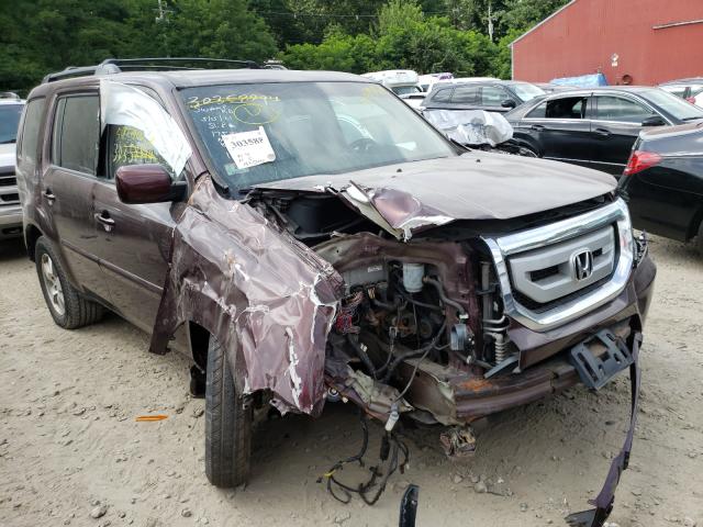 HONDA PILOT 2010 5fnyf4h63ab029061