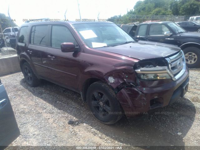 HONDA PILOT 2011 5fnyf4h63bb008034