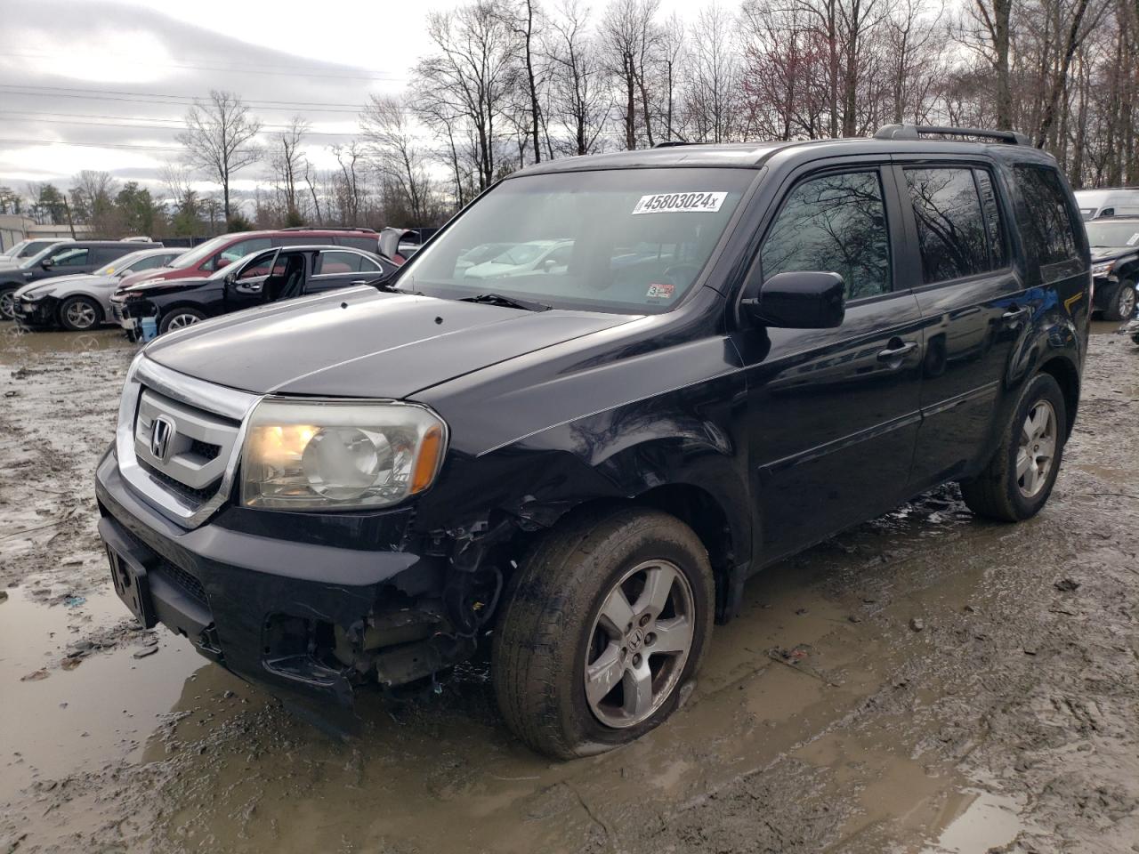 HONDA PILOT 2011 5fnyf4h63bb017218