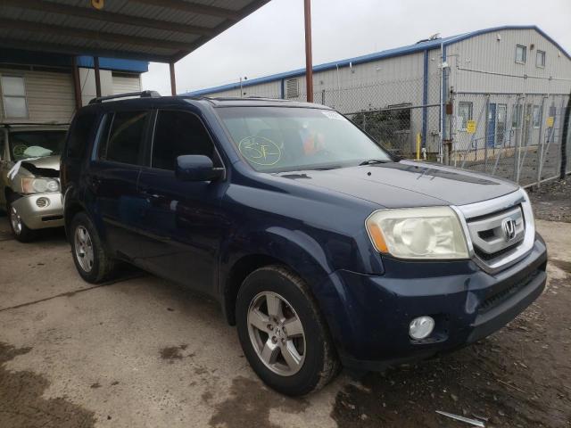 HONDA PILOT EXL 2011 5fnyf4h63bb022905