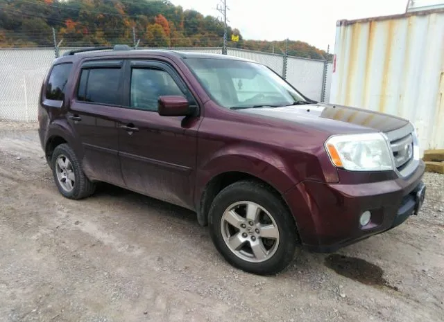 HONDA PILOT 2011 5fnyf4h63bb030101