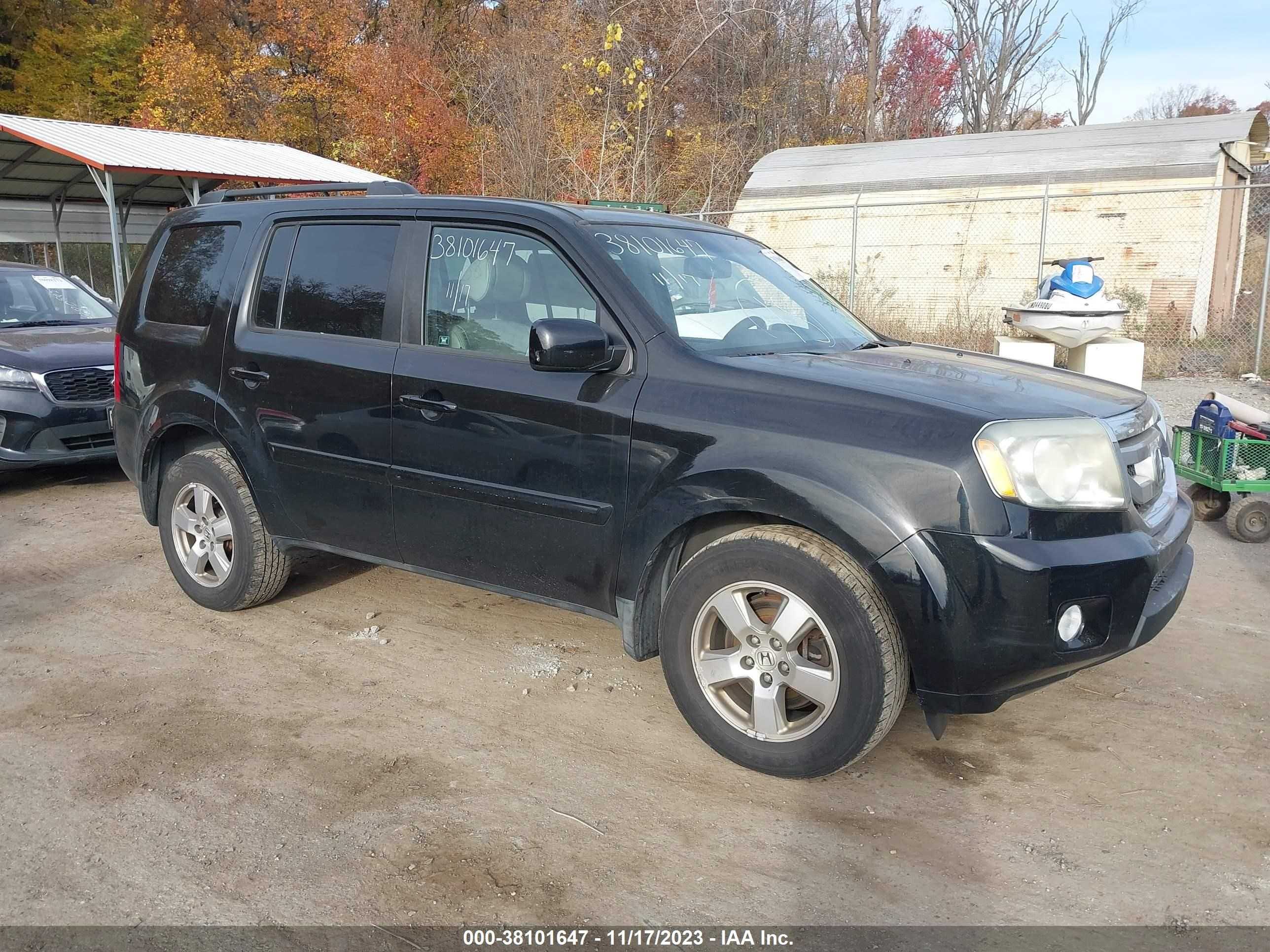 HONDA PILOT 2011 5fnyf4h63bb036562