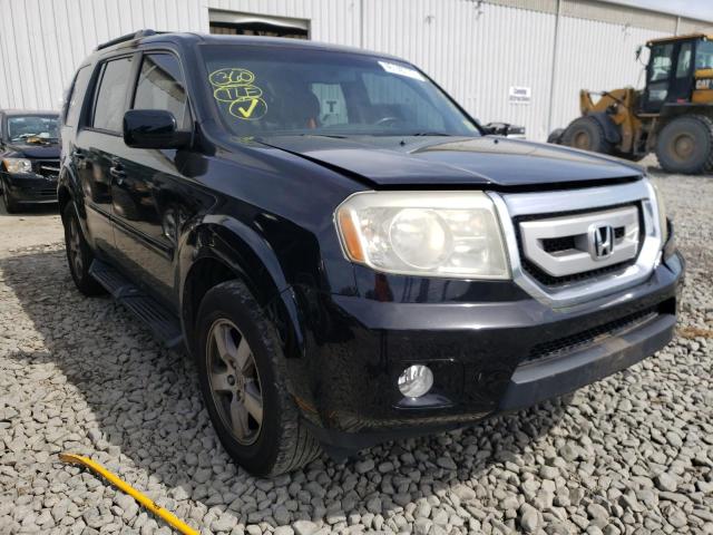 HONDA PILOT EXL 2011 5fnyf4h63bb046623