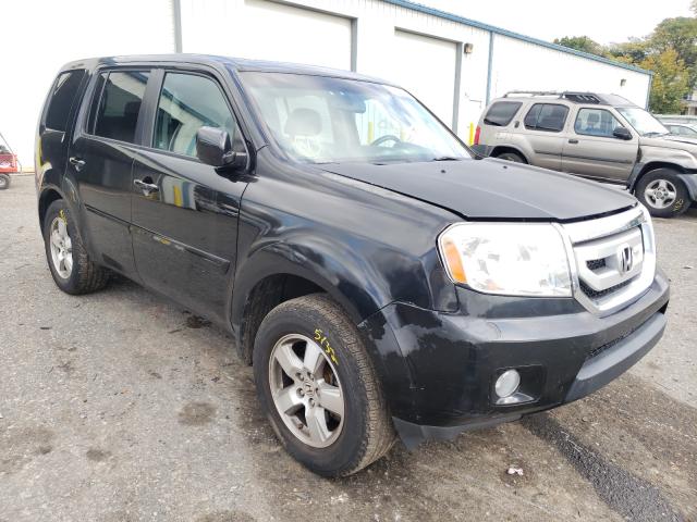 HONDA PILOT EXL 2011 5fnyf4h63bb049019