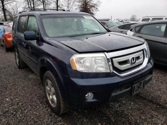 HONDA PILOT EXL 2011 5fnyf4h63bb053118