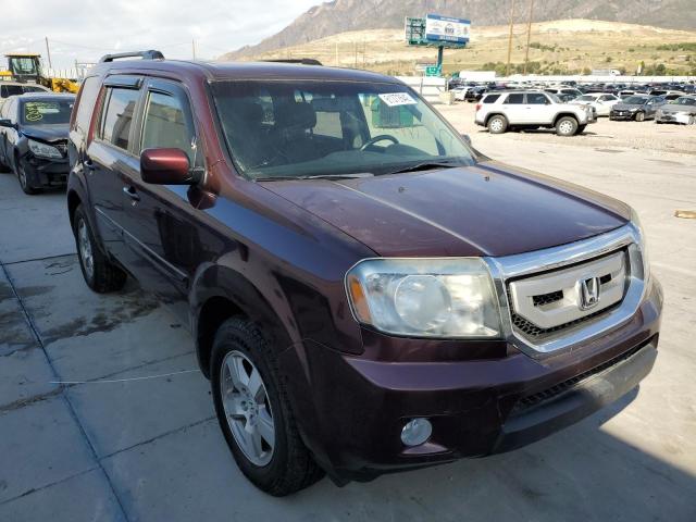 HONDA PILOT EXL 2010 5fnyf4h64ab029098