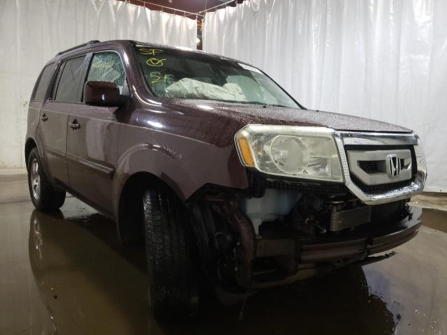 HONDA PILOT EXL 2010 5fnyf4h64ab034057