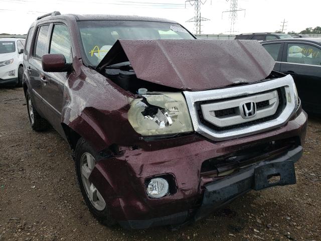 HONDA PILOT EXL 2010 5fnyf4h64ab034088