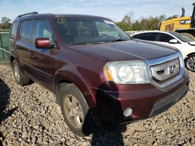 HONDA PILOT EXL 2011 5fnyf4h64bb033606