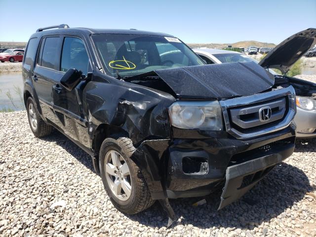 HONDA PILOT EXL 2011 5fnyf4h64bb036599