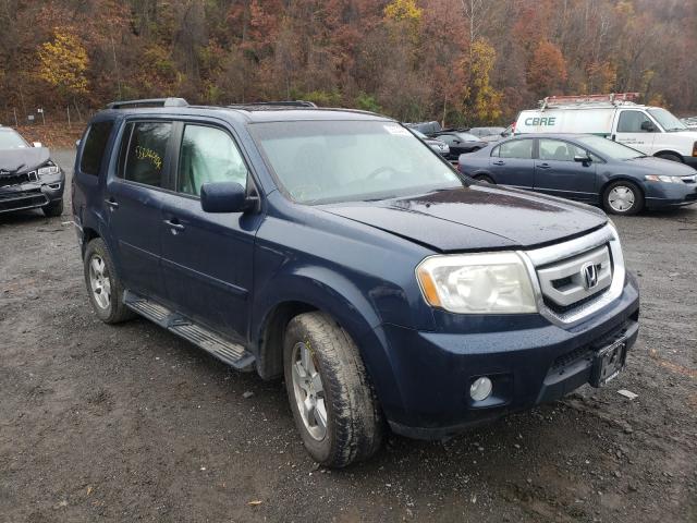 HONDA PILOT EXL 2011 5fnyf4h64bb037946