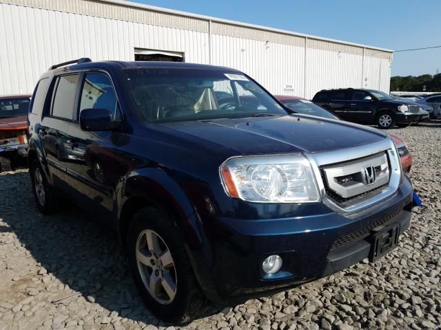 HONDA PILOT EXL 2011 5fnyf4h64bb103413