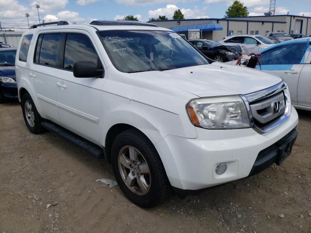 HONDA PILOT EXL 2010 5fnyf4h65ab001469