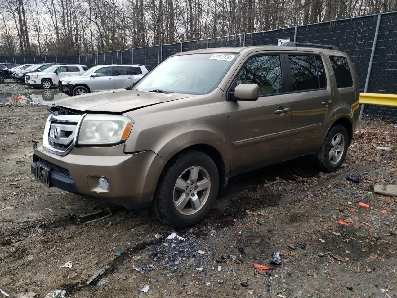 HONDA PILOT 2010 5fnyf4h65ab035783