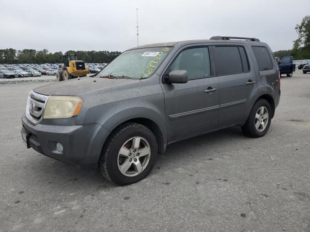 HONDA PILOT EXL 2011 5fnyf4h65bb007340