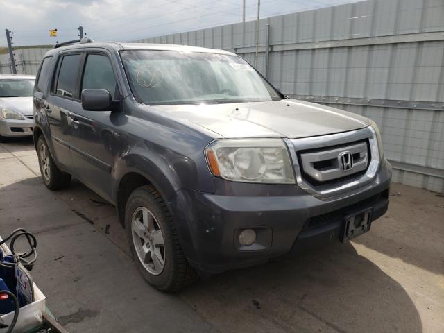 HONDA PILOT EXL 2011 5fnyf4h65bb066162