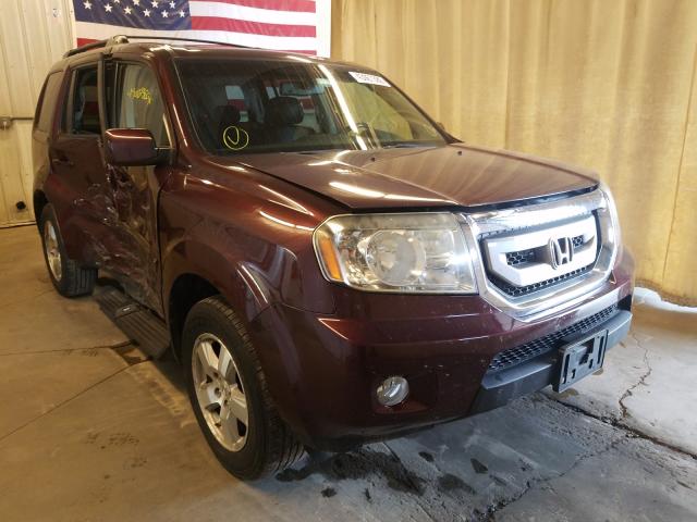 HONDA PILOT EXL 2011 5fnyf4h65bb070051