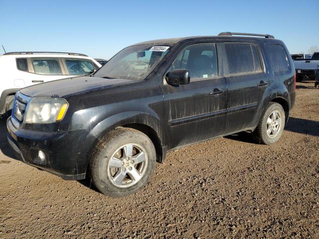 HONDA PILOT EXL 2011 5fnyf4h65bb507174