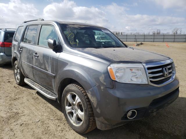 HONDA PILOT EXL 2012 5fnyf4h65cb504566