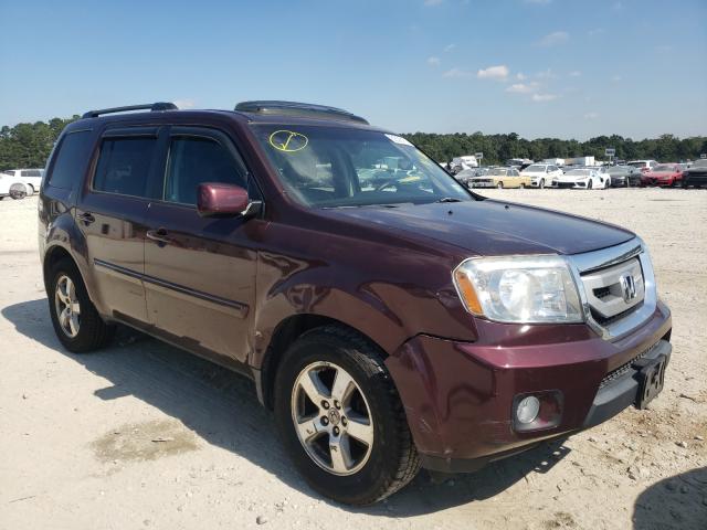 HONDA PILOT EXL 2010 5fnyf4h66ab013467