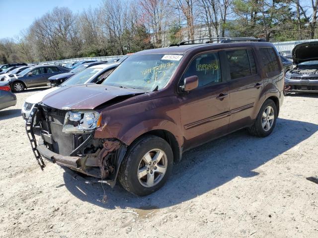 HONDA PILOT EXL 2010 5fnyf4h66ab020435