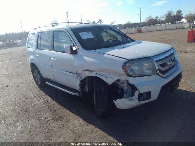 HONDA PILOT 2010 5fnyf4h66ab028647